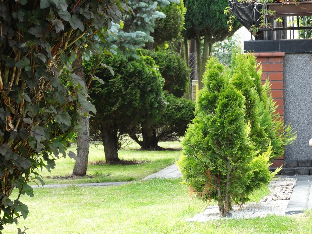 Dom U Artura Apartment Władysławowo Екстериор снимка